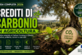 Crediti di Carbonio in Agricoltura: la Guida Completa 2026 al Carbon Farming in Oliveto